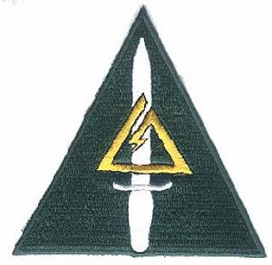 美國陸軍第一特種部隊D作戰分遣隊臂徽