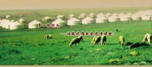 （圖）中國志願者保護藏羚羊協會