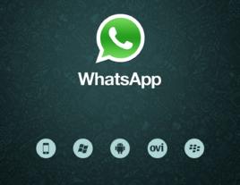 WhatsApp常見問題