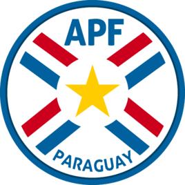 巴拉圭國家男子足球隊