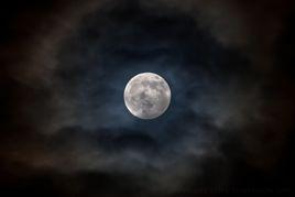 月圓之夜[月亮變圓的夜晚]