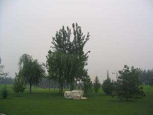 西寧朝陽公園