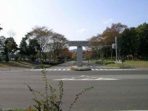 筑波大學院