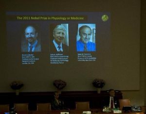 三位科學家分享2011年諾貝爾生理學或醫學獎