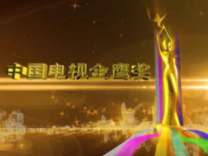 第29屆中國電視金鷹獎