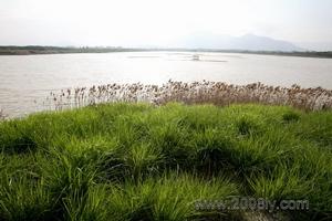 米埔自然保護區