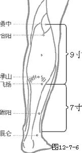 膀胱經腿部穴位