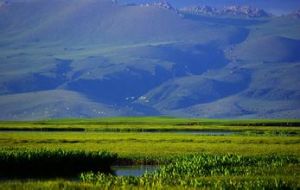 內蒙古西鄂爾多斯國家級自然保護區