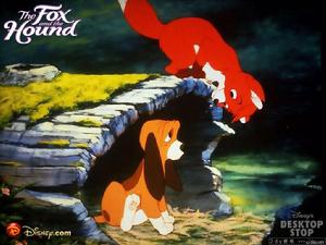 《狐狸與獵狗1》