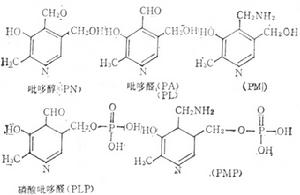 5-磷酸吡哆醇