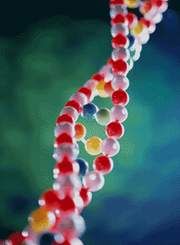 DNA重組技術