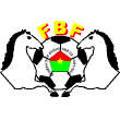布吉納法索國家足球隊