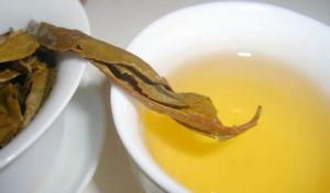 普洱茶老黃片