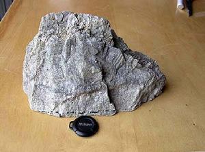 碳酸岩