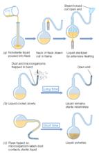 Pasteur's swan-necked flask experiment