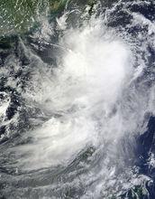 第15號強熱帶風暴“康妮”衛星雲圖