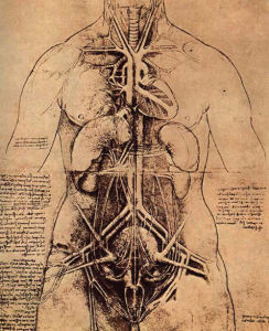 達·芬奇生理解剖圖