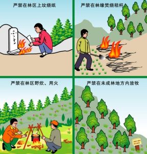 森林火災預防