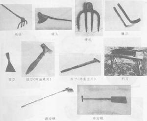 （圖）鐵農具