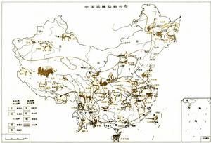 中國動物地理