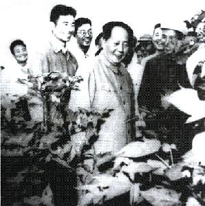 （圖）毛澤東主席在厲家寨