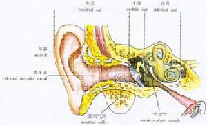 內耳疾病
