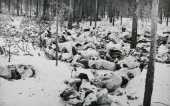 這場戰爭蘇聯出兵120萬死傷30萬，主要在於這4點原因，史達林背鍋