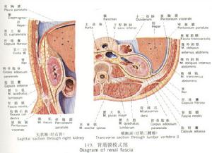 膀胱結核
