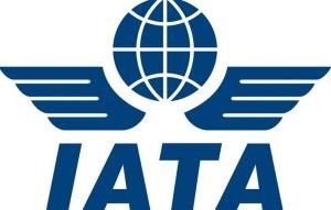 國際航空運輸協會