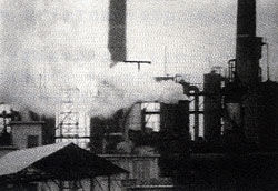 1948年多諾拉煙霧事件
