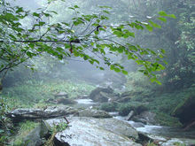 黑熊谷原始森林公園
