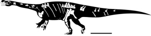 “地球之爪”成為恐龍從“兩腿”進化到“四腿”的例證