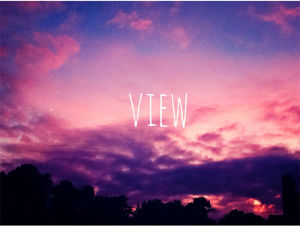 View[英文單詞]