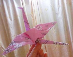 粉紙鶴
