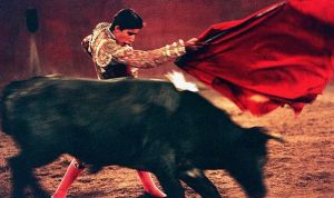 1997年8月1日，年僅14歲的鬥牛士路易斯·菲利帕挑逗公牛。