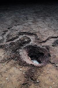 碳酸氣孔 碳酸氣孔