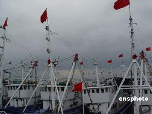 《十三號地區》