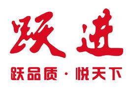 躍進汽車 躍進汽車