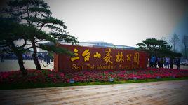 三台山[江蘇省宿遷市湖濱新區三台山森林公園]