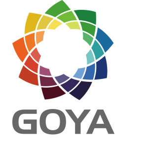 磁鐵計畫 磁鐵計畫