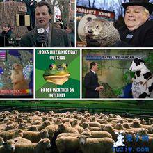 動物天氣預報資料圖