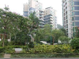 新亞洲花園小區 新亞洲花園小區