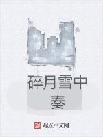 碎月雪中奏 碎月雪中奏