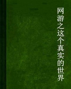 網遊之這個真實的世界 網遊之這個真實的世界