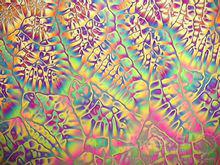 顯微鏡下的癌細胞