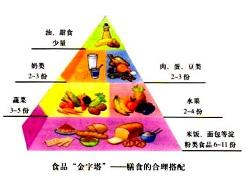 膳食的合理搭配