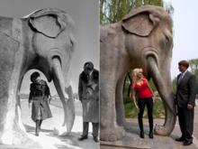 尼克森外孫攜夫人訪華