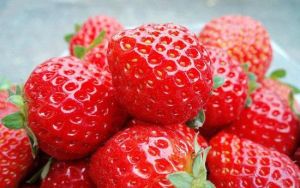 趙屯妍妍草莓園