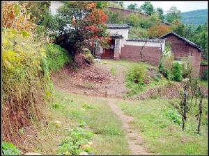 河西地村 河西地村