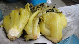 醃芥菜法